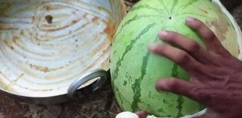 吃瓜网菜网红视频,揭秘热门美食背后的制作秘诀  第3张 吃瓜网菜网红视频,揭秘热门美食背后的制作秘诀  第3张